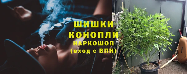 PSILOCYBIN Белокуриха